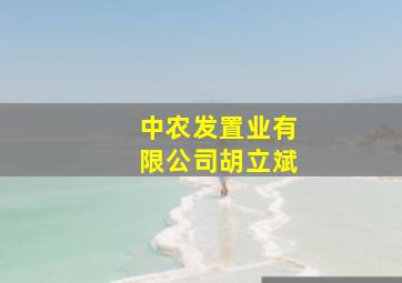 中农发置业有限公司胡立斌