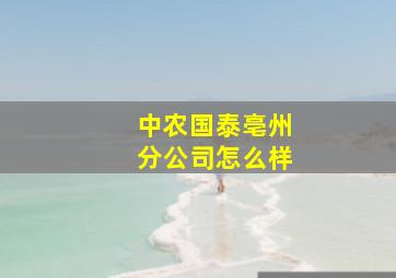 中农国泰亳州分公司怎么样