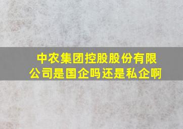 中农集团控股股份有限公司是国企吗还是私企啊