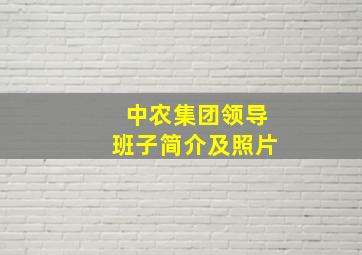 中农集团领导班子简介及照片