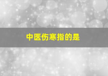 中医伤寒指的是