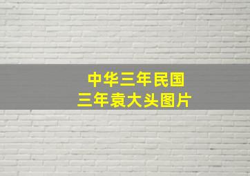 中华三年民国三年袁大头图片