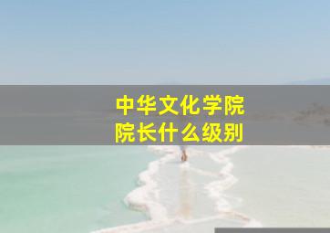 中华文化学院院长什么级别