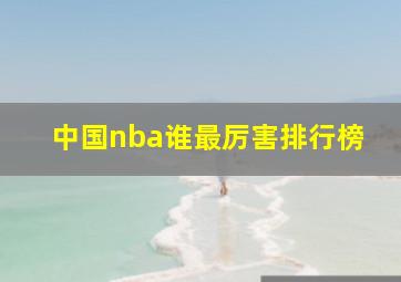 中国nba谁最厉害排行榜