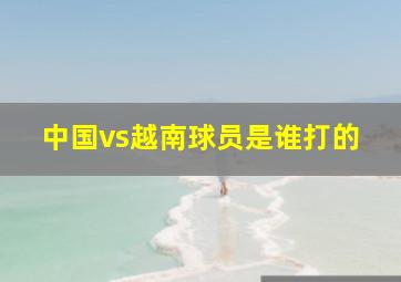 中国vs越南球员是谁打的