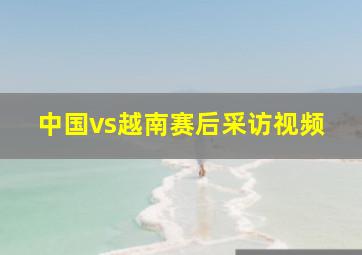 中国vs越南赛后采访视频