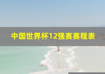 中国世界杯12强赛赛程表