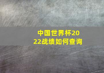 中国世界杯2022战绩如何查询