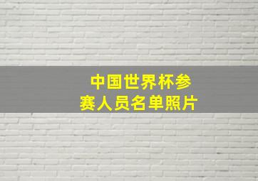 中国世界杯参赛人员名单照片