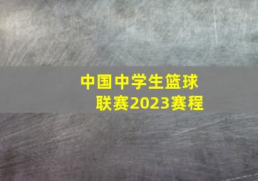 中国中学生篮球联赛2023赛程