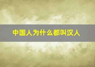 中国人为什么都叫汉人