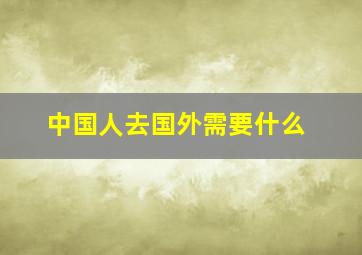 中国人去国外需要什么