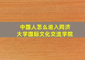 中国人怎么进入同济大学国际文化交流学院