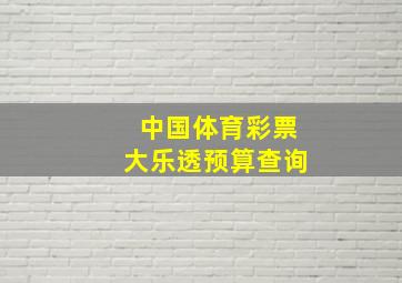 中国体育彩票大乐透预算查询