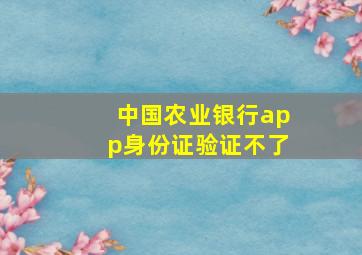 中国农业银行app身份证验证不了