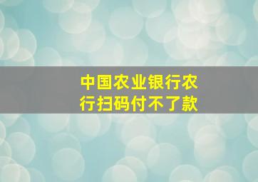 中国农业银行农行扫码付不了款