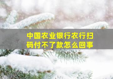 中国农业银行农行扫码付不了款怎么回事