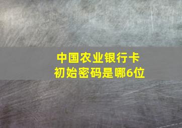 中国农业银行卡初始密码是哪6位