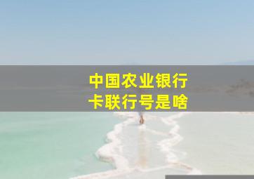 中国农业银行卡联行号是啥