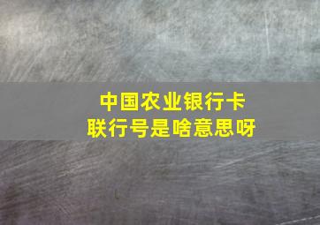 中国农业银行卡联行号是啥意思呀