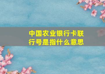 中国农业银行卡联行号是指什么意思