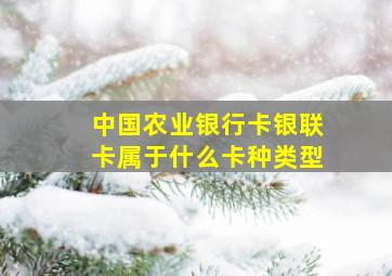 中国农业银行卡银联卡属于什么卡种类型