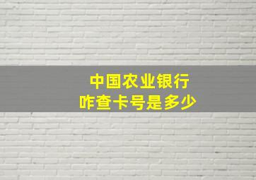 中国农业银行咋查卡号是多少