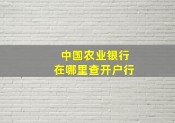 中国农业银行在哪里查开户行