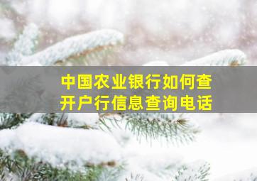 中国农业银行如何查开户行信息查询电话