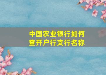 中国农业银行如何查开户行支行名称