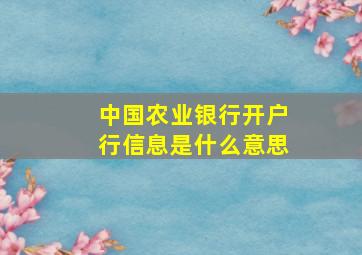 中国农业银行开户行信息是什么意思