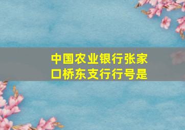 中国农业银行张家口桥东支行行号是