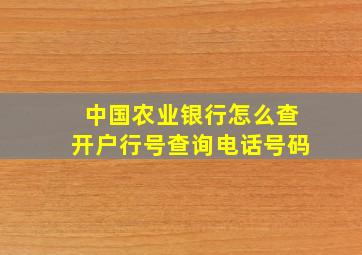 中国农业银行怎么查开户行号查询电话号码