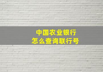 中国农业银行怎么查询联行号