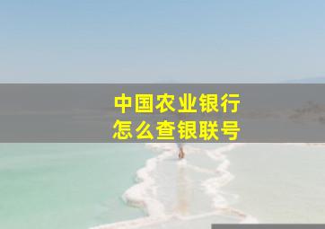 中国农业银行怎么查银联号