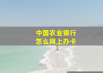 中国农业银行怎么网上办卡