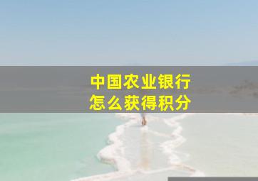 中国农业银行怎么获得积分