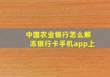 中国农业银行怎么解冻银行卡手机app上