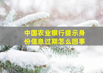 中国农业银行提示身份信息过期怎么回事