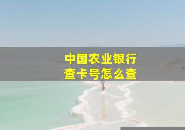 中国农业银行查卡号怎么查