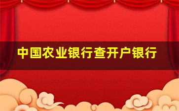 中国农业银行查开户银行