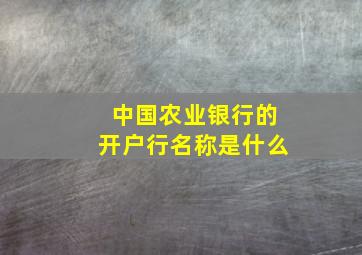 中国农业银行的开户行名称是什么