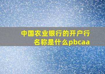 中国农业银行的开户行名称是什么pbcaa