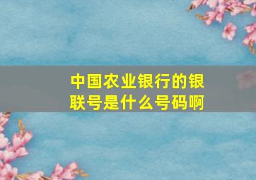 中国农业银行的银联号是什么号码啊