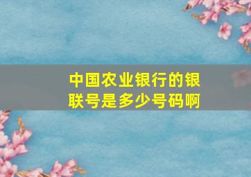 中国农业银行的银联号是多少号码啊