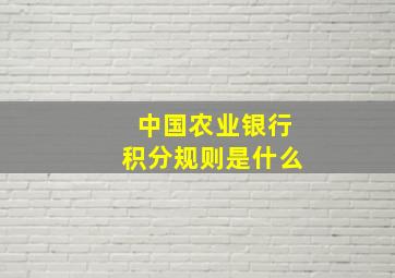 中国农业银行积分规则是什么