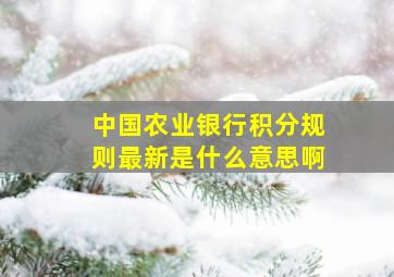 中国农业银行积分规则最新是什么意思啊