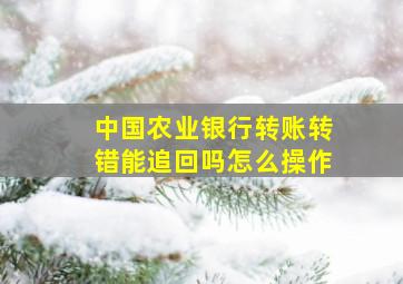 中国农业银行转账转错能追回吗怎么操作