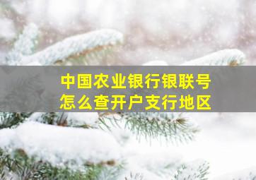 中国农业银行银联号怎么查开户支行地区