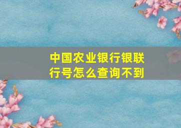 中国农业银行银联行号怎么查询不到